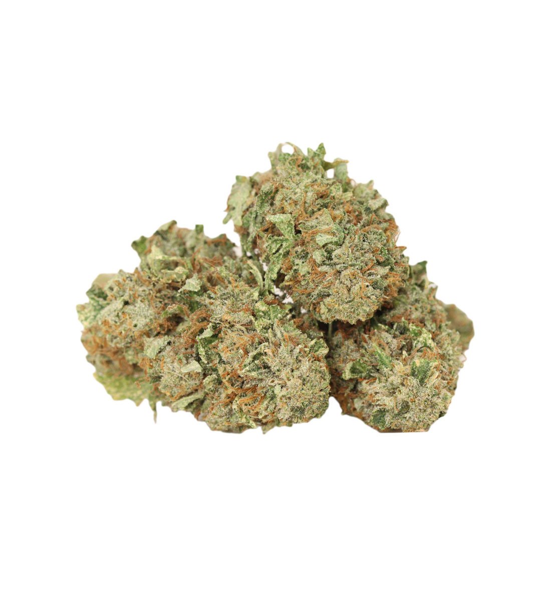 Pink-Gas-weed-strain Pink Gas Weed Strain